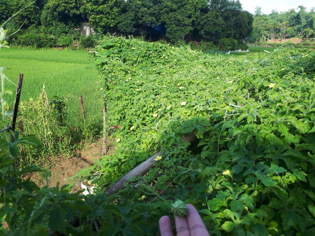 Meadow Mai Chau Homestay ภายนอก รูปภาพ