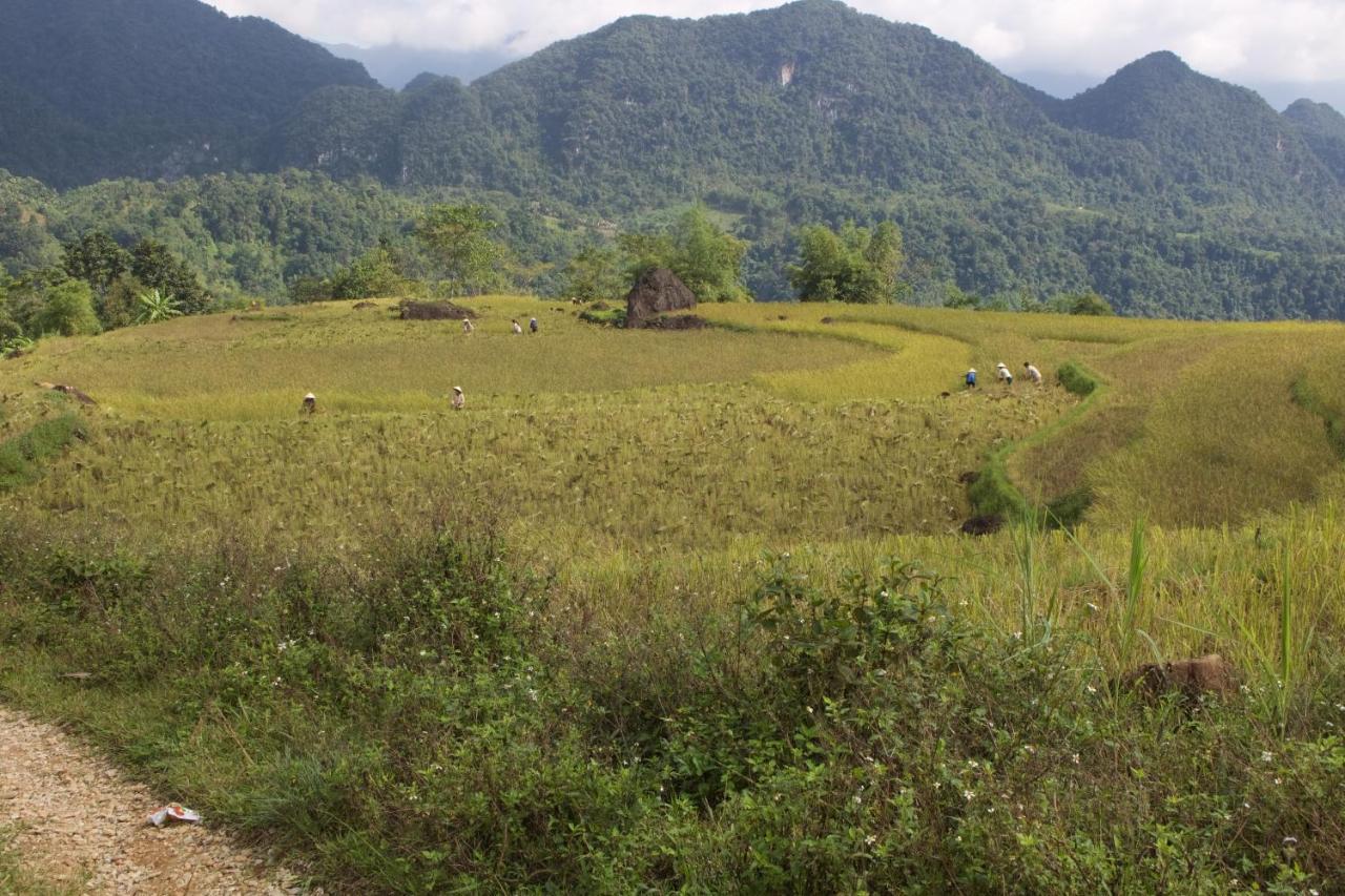 Meadow Mai Chau Homestay ภายนอก รูปภาพ