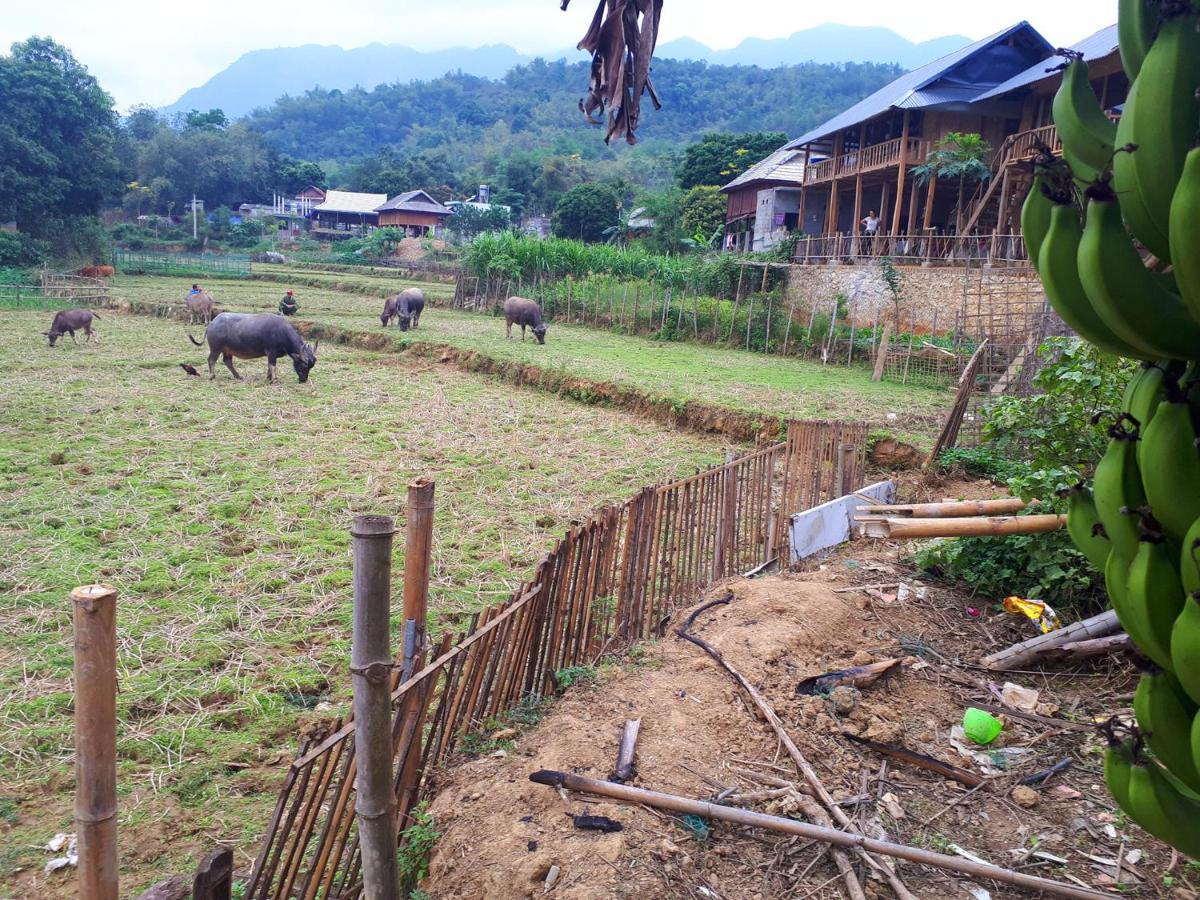 Meadow Mai Chau Homestay ภายนอก รูปภาพ